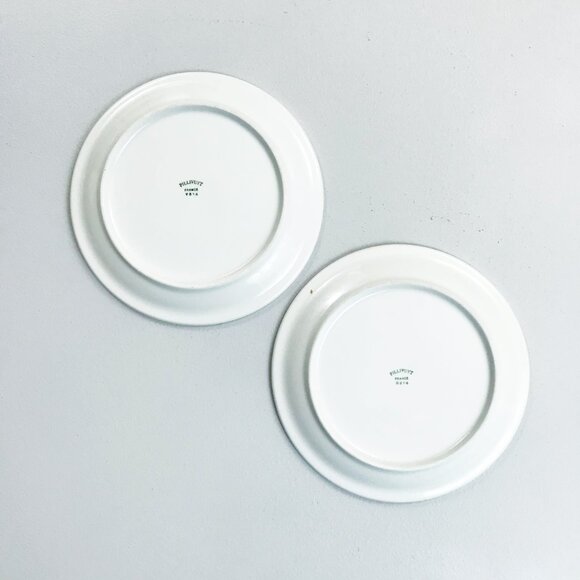 PILLIVUYT France Molling Porcelain Virginie Side Plates Set Of 2 7.75" Botanical - Picture 9 of 12